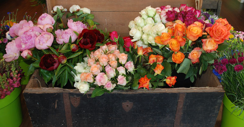 Florales Schmuckkasterl in Obermenzing